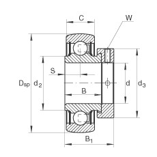 RALE20-NPP-B Radial insert ball bearings