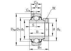 G1012-KRR-B-AS2/V Radial insert ball bearings