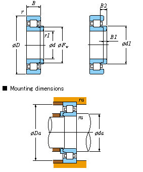 NF416 Cylindrical roller bearings