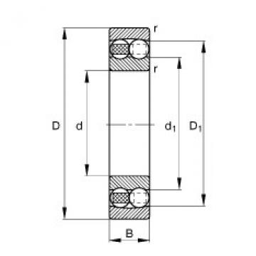 1204-TVH Self-aligning ball bearings