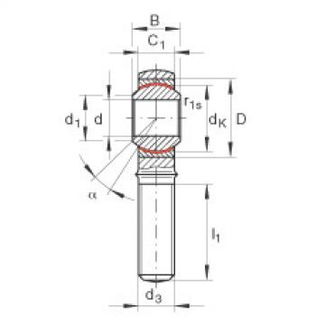 GAKL18-PW Rod ends