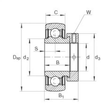 RALE20-NPP-B Radial insert ball bearings