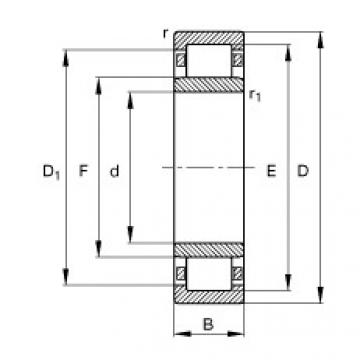 NU204-E-TVP2 Cylindrical roller bearings