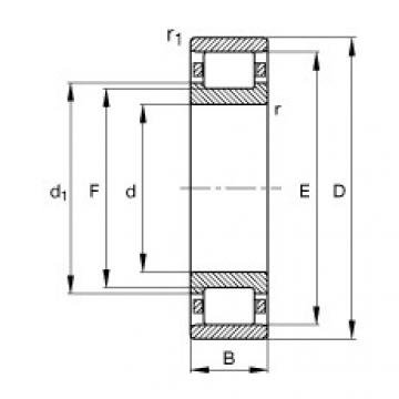 N204-E-TVP2 Cylindrical roller bearings