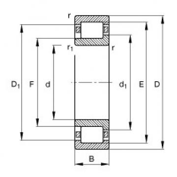 NJ204-E-TVP2 Cylindrical roller bearings