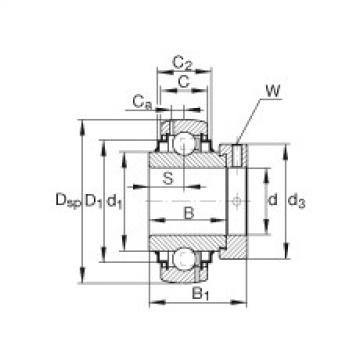 G1012-KRR-B-AS2/V Radial insert ball bearings