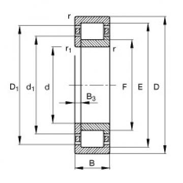 NUP204-E-TVP2 Cylindrical roller bearings