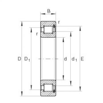 SL182204 Cylindrical roller bearings