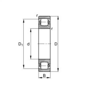 20204-TVP Barrel roller bearings