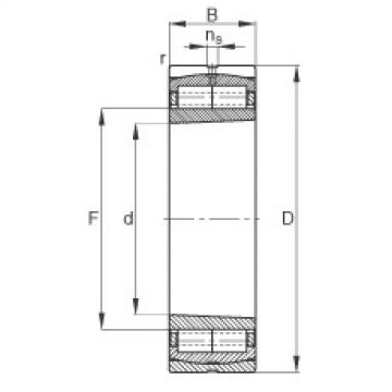 F-800481.ZL-K-C5 Cylindrical roller bearings