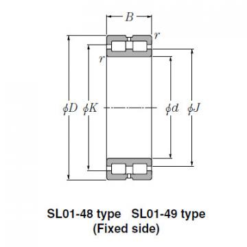 Bearing SL02-4838