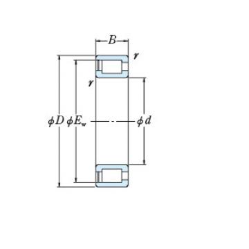 Bearing NCF18/500V