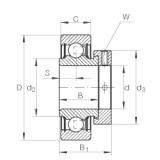 RALE20-NPP-FA106 Radial insert ball bearings