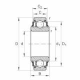 204-KRR Radial insert ball bearings