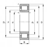 NJ204-E-TVP2 Cylindrical roller bearings