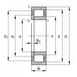 NUP204-E-TVP2 Cylindrical roller bearings