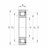 SL182204 Cylindrical roller bearings