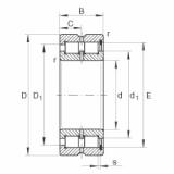 SL185004 Cylindrical roller bearings