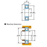 N217 Cylindrical roller bearings