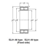 Bearing SL01-4876